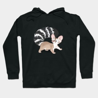 Ringtail Hoodie